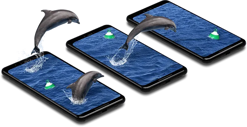 Dauphins